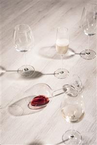 SCHOTT ZWIESEL Bordeauxglas VINOS