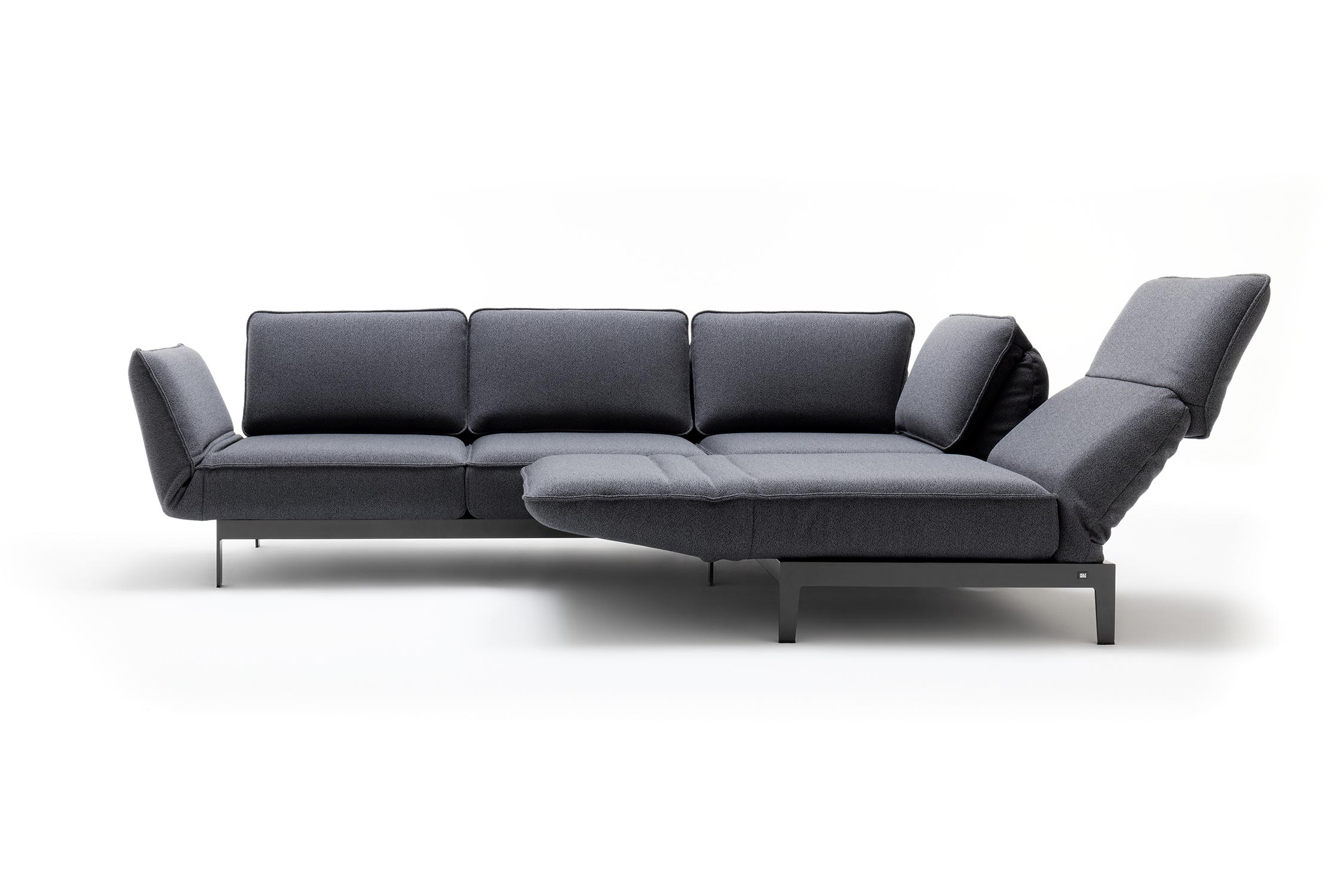 ROLF BENZ Sofa MERA