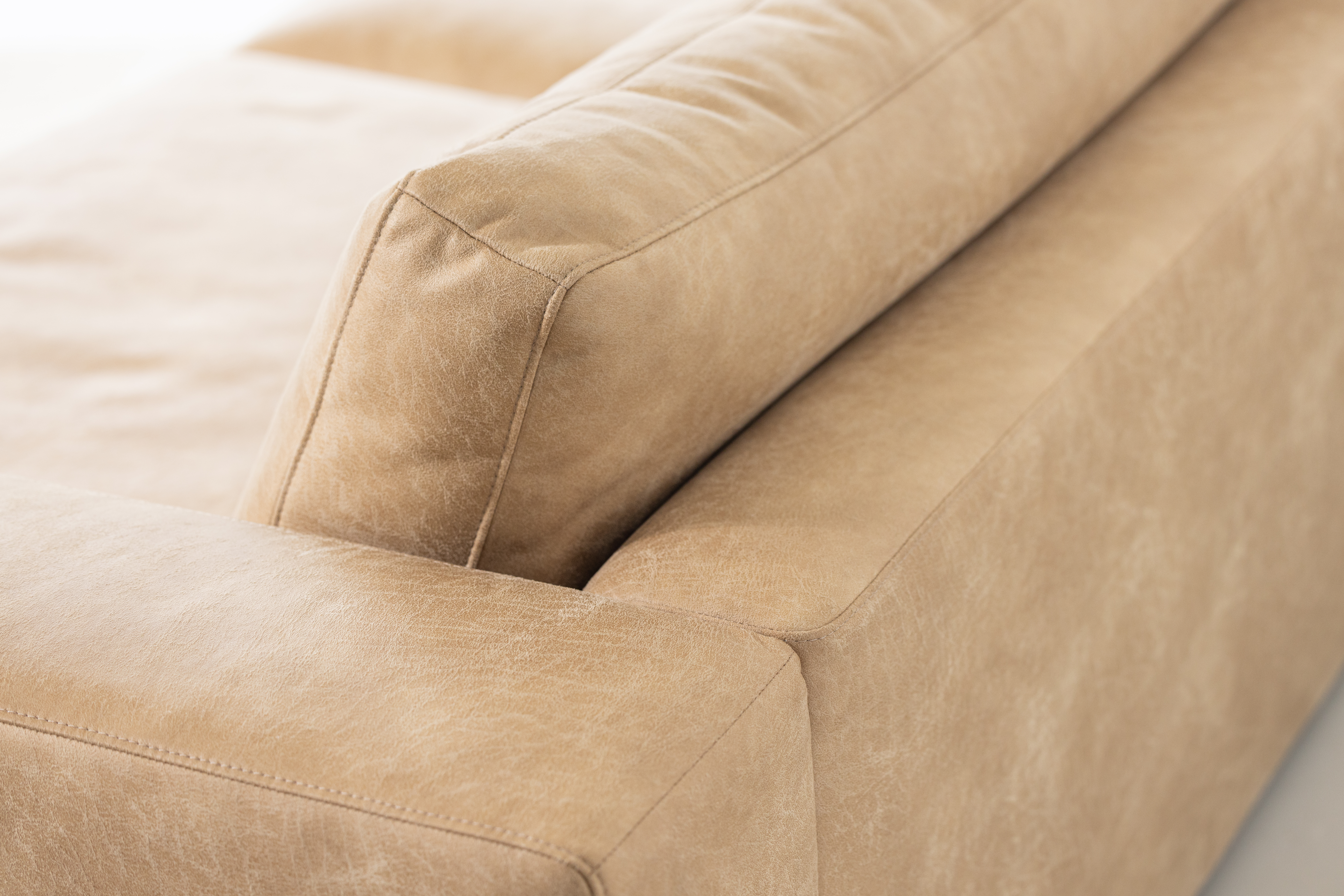 SOFAWERKSTATT Sofa SW1100