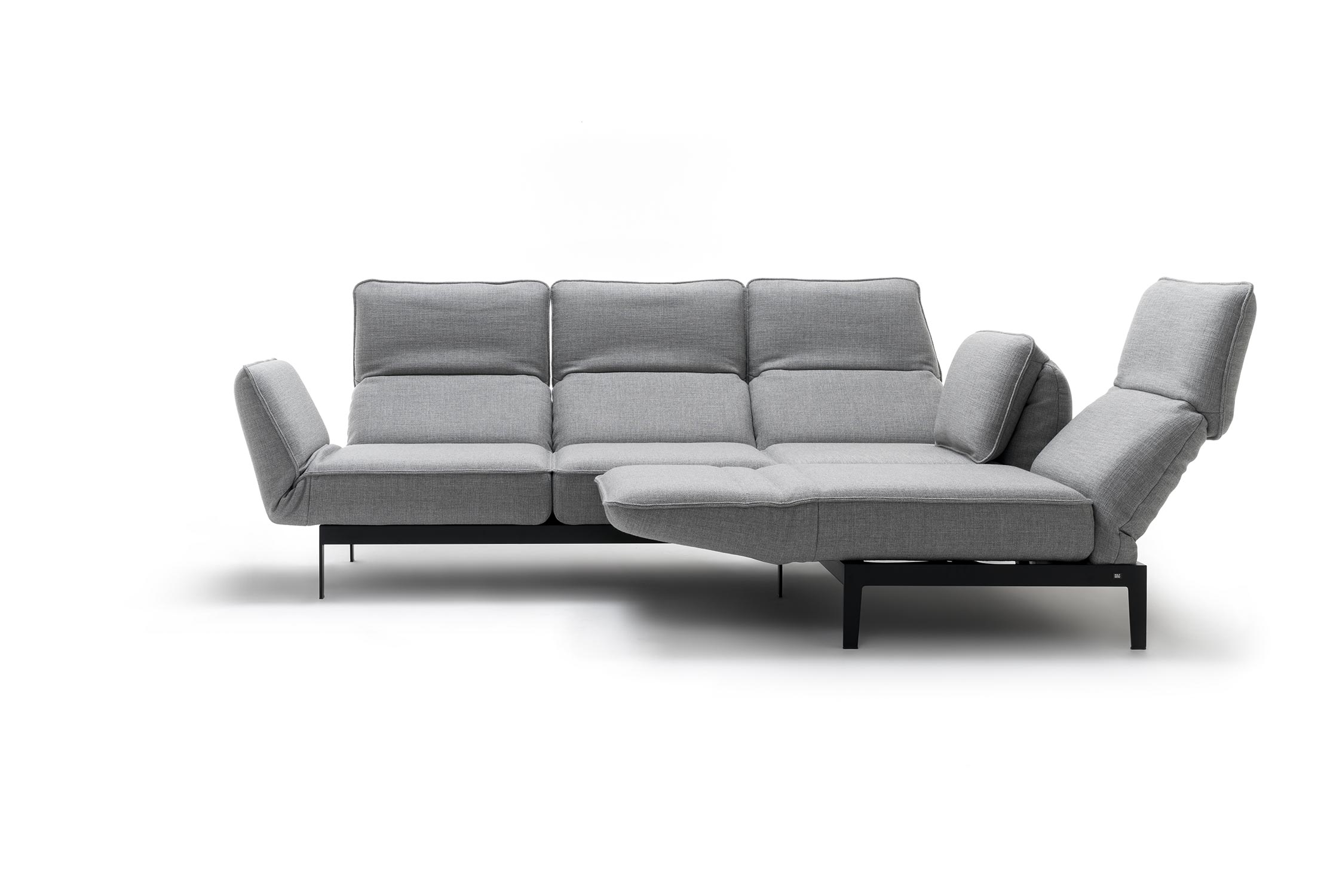 ROLF BENZ Sofa MERA