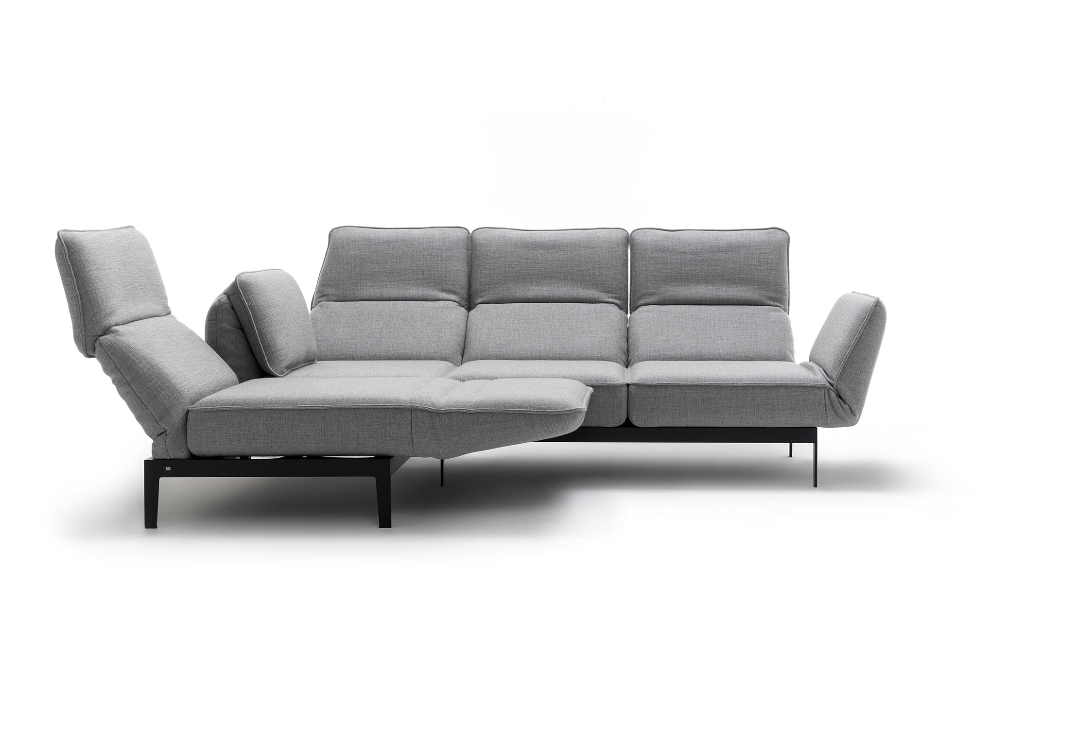 ROLF BENZ Sofa MERA