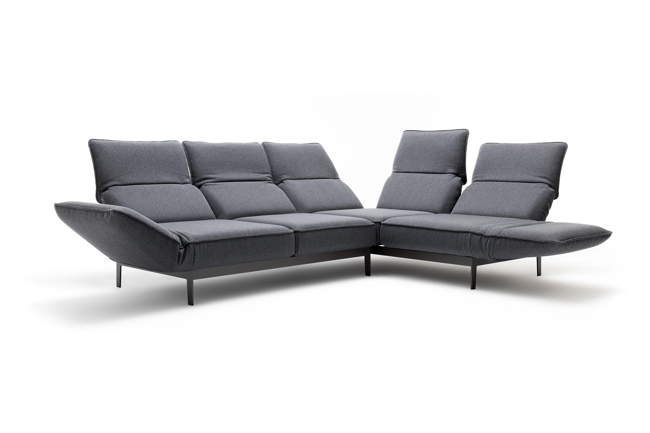 ROLF BENZ Sofa MERA