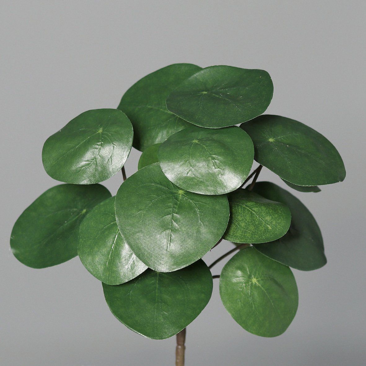 Pileabusch Kunstpflanze 